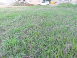 Terreno para Venda em Itupeva - 4