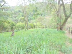 Terreno para Venda em Louveira - 4