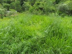 Terreno para Venda em Vinhedo - 5