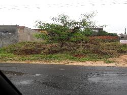 #60565516 - Área para Venda em Louveira - SP