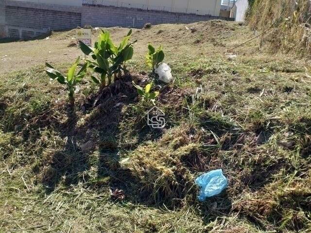 #TE5593 - Área para Venda em Vinhedo - SP - 2
