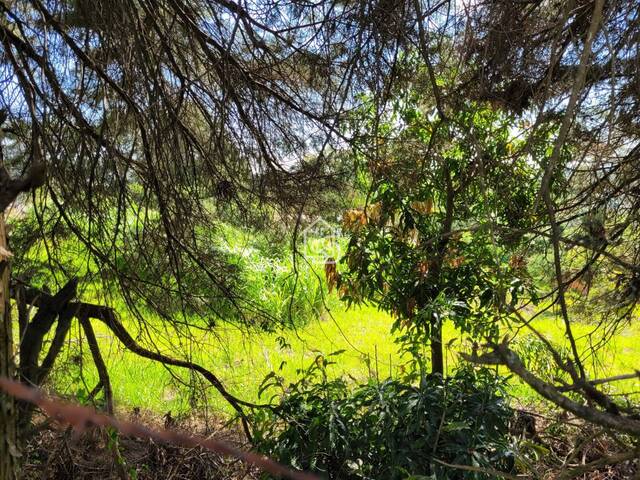 Terreno para Venda em Vinhedo - 3