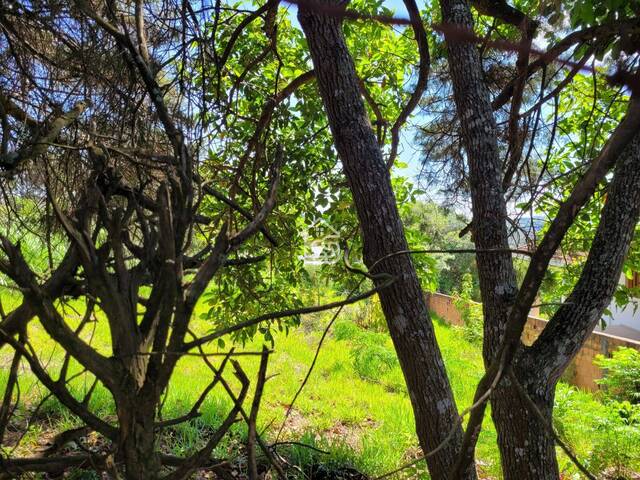 Terreno para Venda em Vinhedo - 2