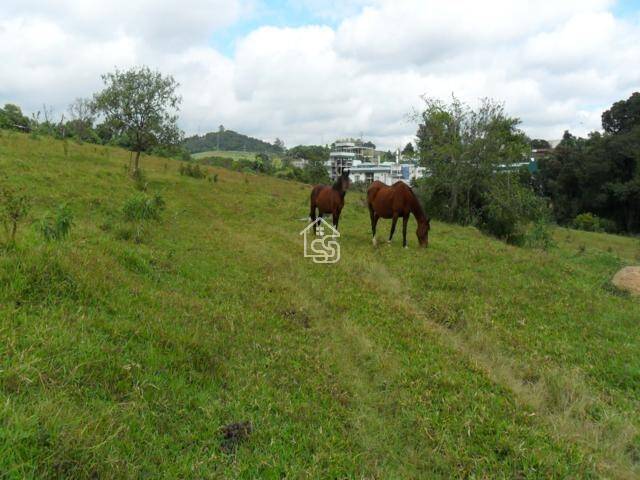 Área para Venda em Vinhedo - 4