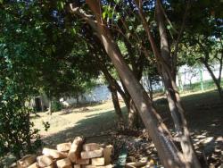 Terreno para Venda em Vinhedo - 3