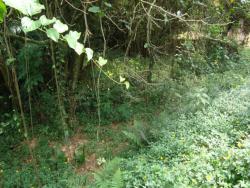 Terreno para Venda em Vinhedo - 2