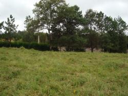 #TE0731 - Terreno para Venda em Vinhedo - SP