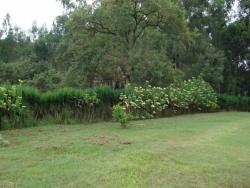 #TE0731 - Terreno para Venda em Vinhedo - SP