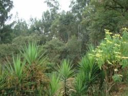 Terreno para Venda em Vinhedo - 4