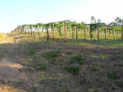 #AR0006 - Área para Venda em Louveira - SP