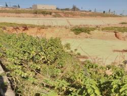 Terreno para Venda em Vinhedo - 2