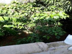 Galpão para Venda em Vinhedo - 5