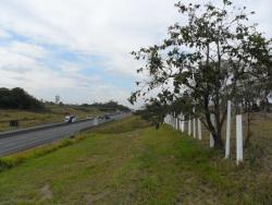 #AR0008 - Área para Venda em Vinhedo - SP