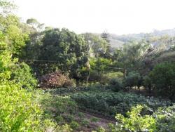 #CH0008 - Chácara para Venda em Vinhedo - SP