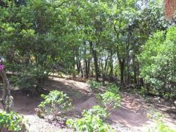 #CH0008 - Chácara para Venda em Vinhedo - SP