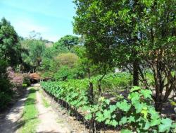 #CH0008 - Chácara para Venda em Vinhedo - SP