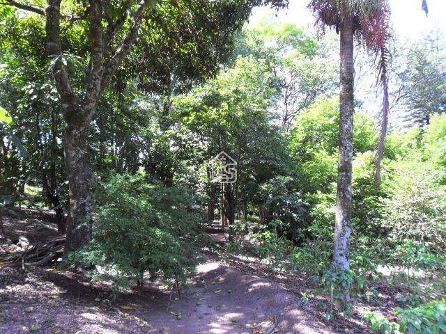 Chácara para Venda em Vinhedo - 5