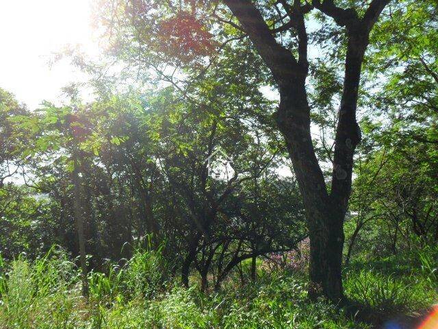 Terreno para Venda em Vinhedo - 4