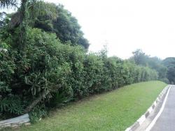 #CH0013 - Chácara para Venda em Vinhedo - SP