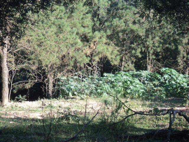 Terreno para Venda em Vinhedo - 2