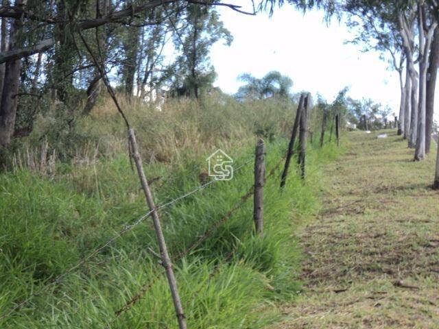 Terreno para Venda em Vinhedo - 3