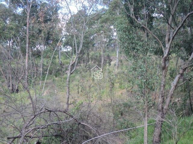 Terreno para Venda em Vinhedo - 4