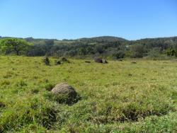 #SI0004 - Sítio para Venda em Vinhedo - SP