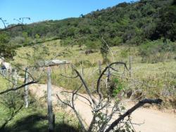 #SI0004 - Sítio para Venda em Vinhedo - SP