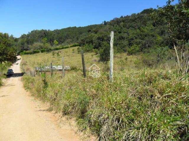 Sítio para Venda em Vinhedo - 4