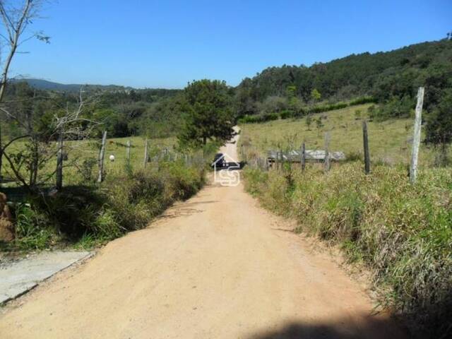 Sítio para Venda em Vinhedo - 5