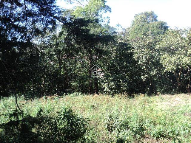 Chácara para Venda em Vinhedo - 5